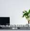 Houseplants Might Be Behind Your Sluggish Wi-Fi